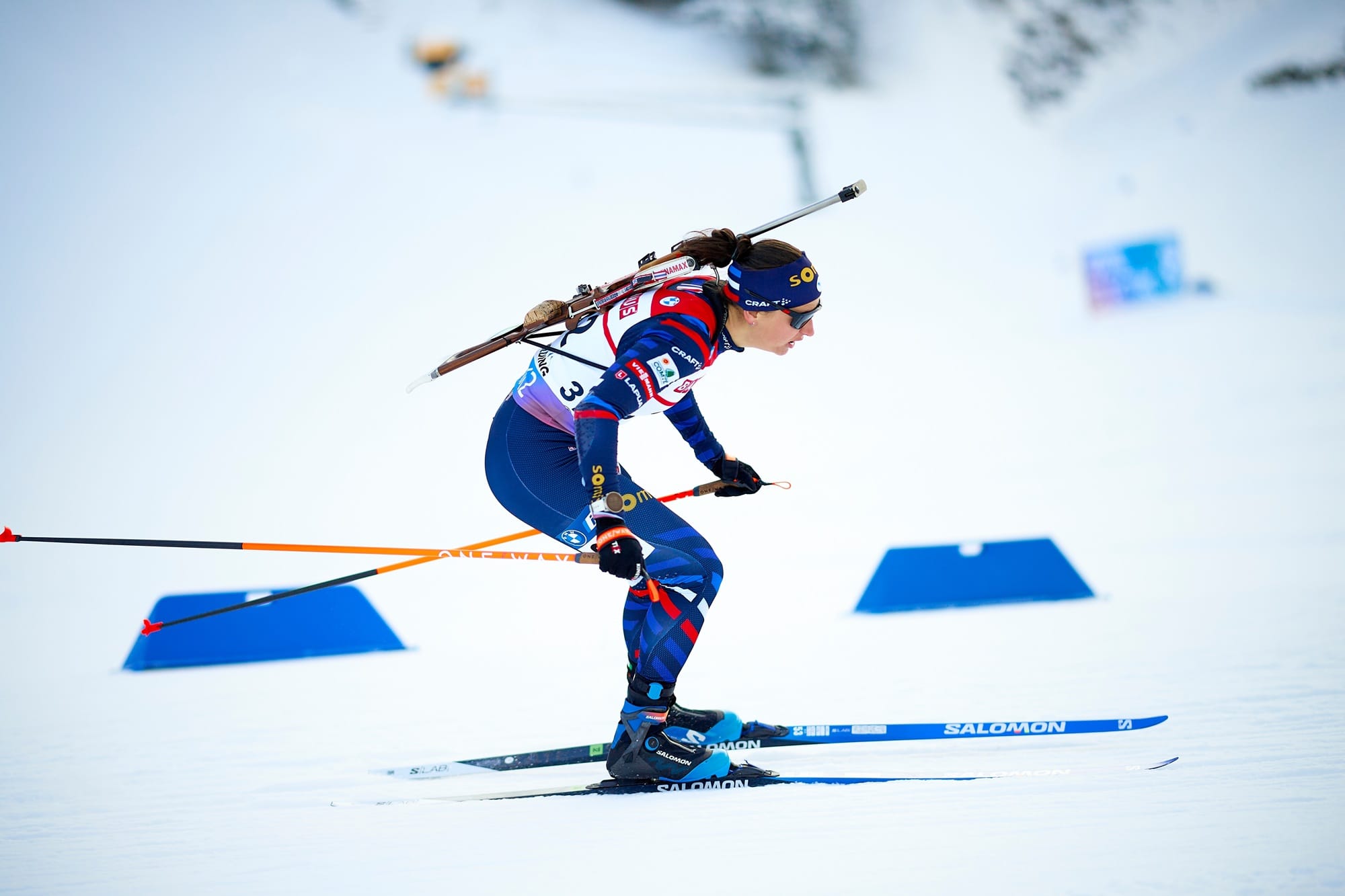 Mondiaux de biathlon