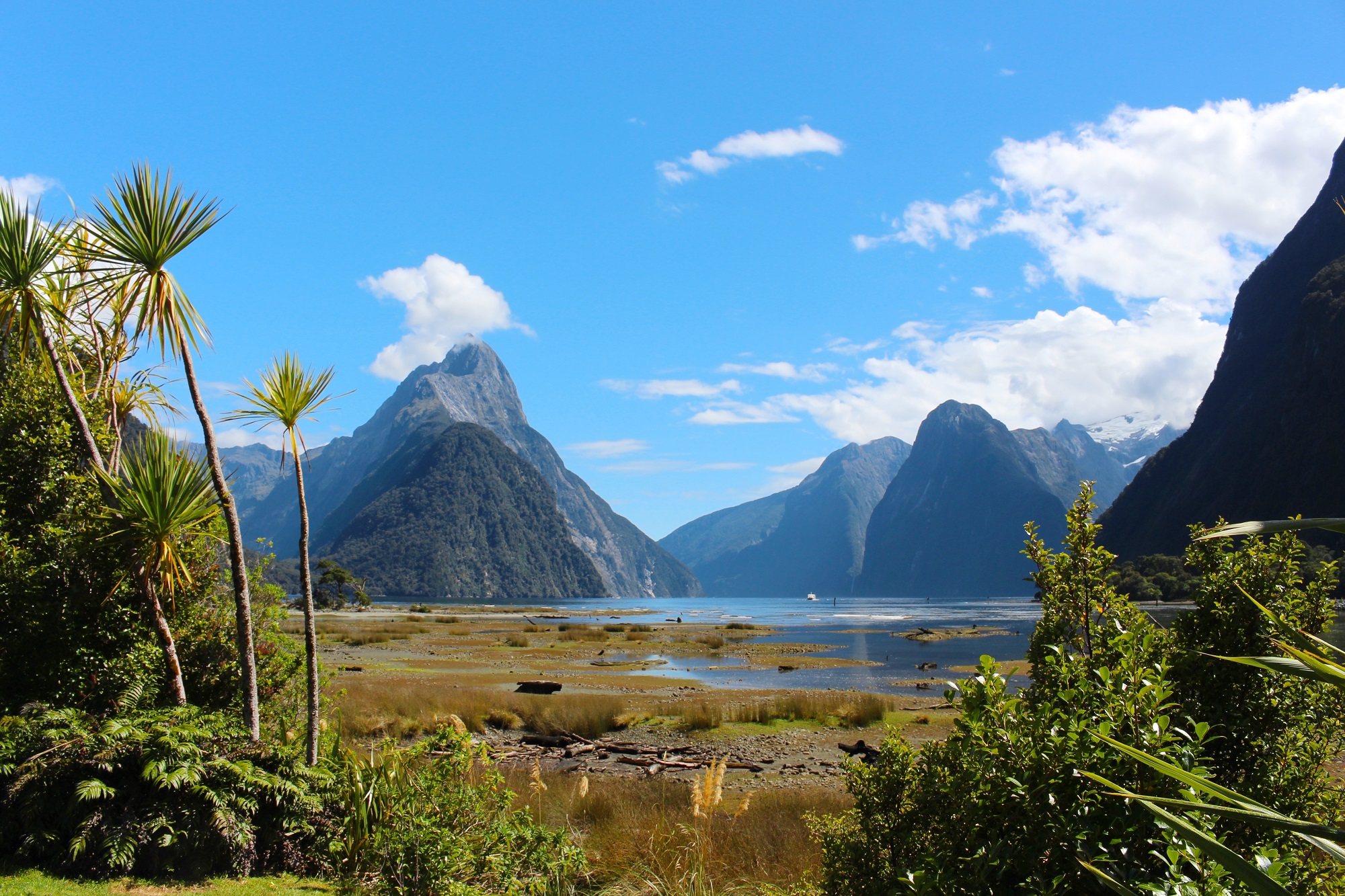 Paysage de Nouvelle-Zélande